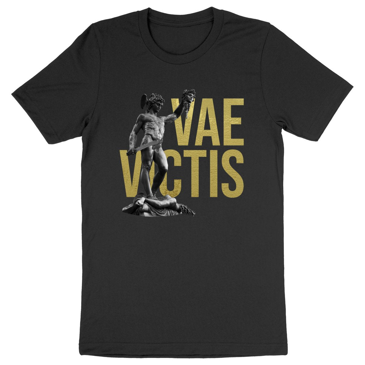 T-Shirt Vae Victis