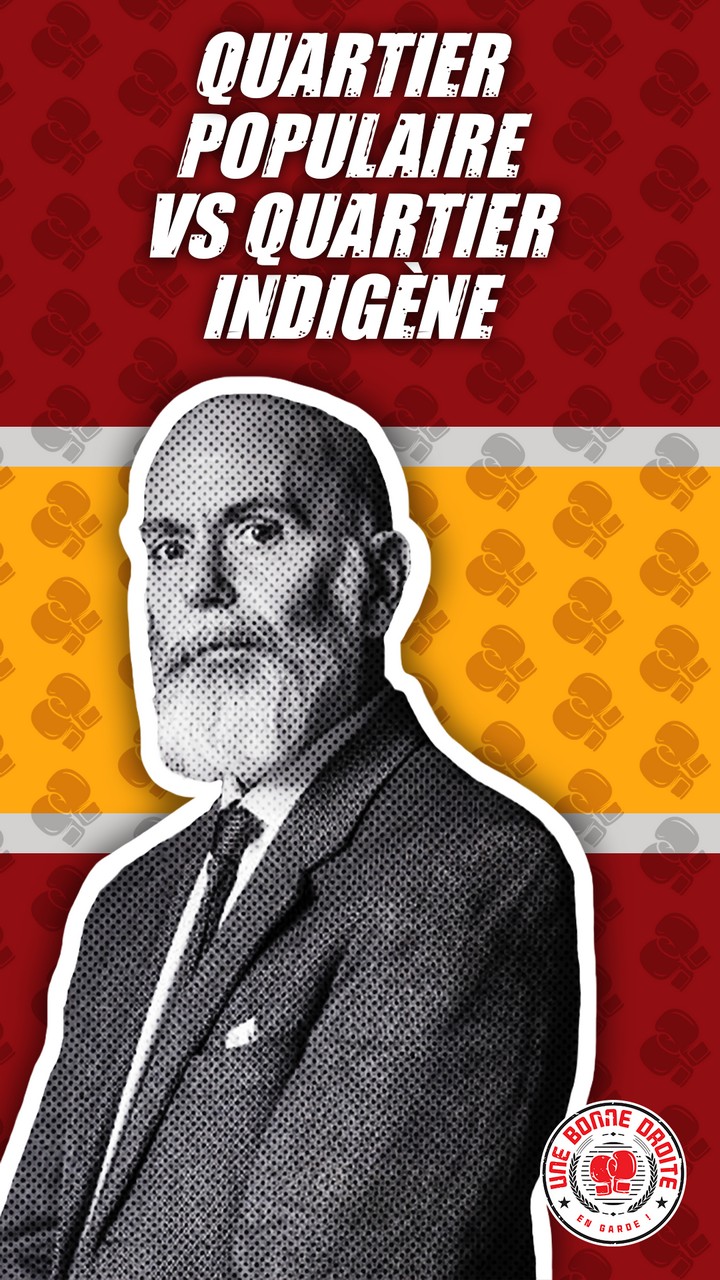 Renaud Camus, quartier populaire vs quartier indigène